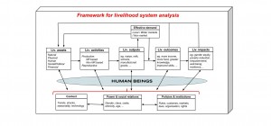 Framework for livelihoods analysis